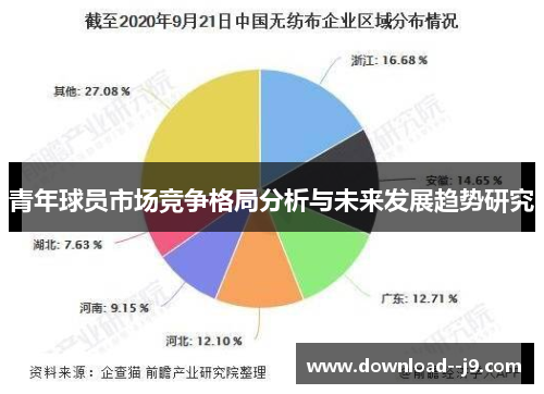 青年球员市场竞争格局分析与未来发展趋势研究